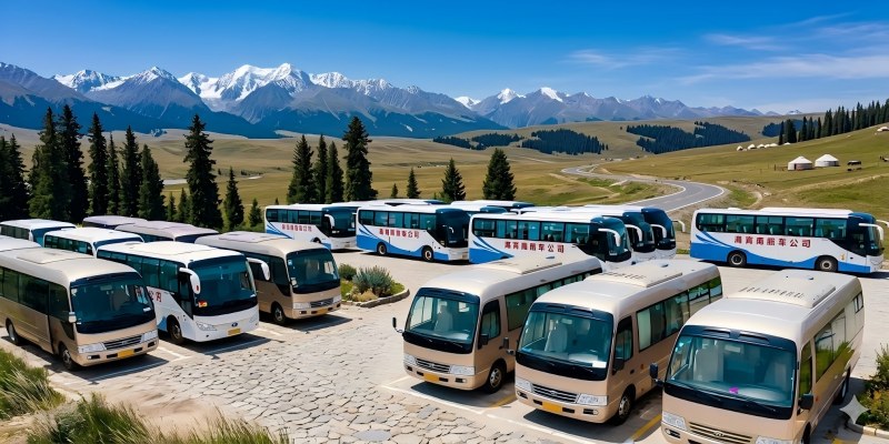 新疆越野車隊示意圖