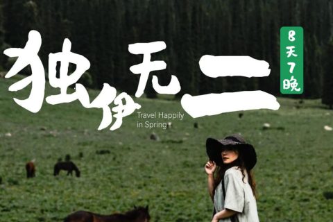 2026全國【獨伊無二夏塔版小7商務車8日】夏季版