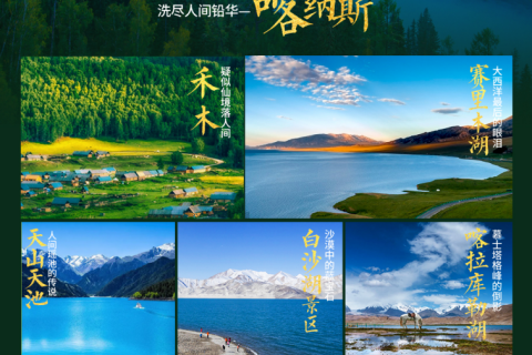 熊貓列车安逸號旅遊列車官網｜熊貓專列安逸號訂票官網